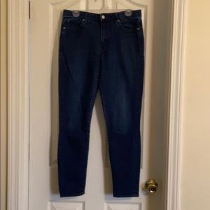 GAP 1969 High Rise Skinny Jeans